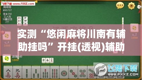 实测“悠闲麻将川南有辅助挂吗”开挂(透视)辅助