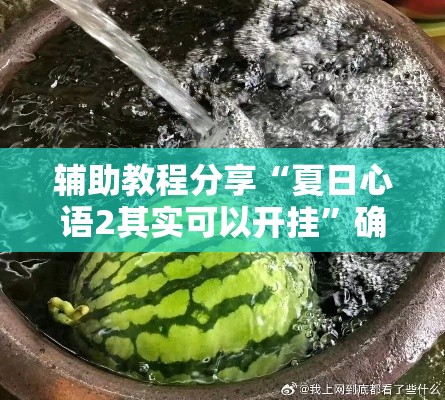 辅助教程分享“夏日心语2其实可以开挂”确实可以开挂