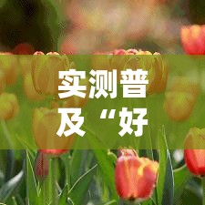 实测普及“好友娱乐其实可以开挂”详细开挂方法