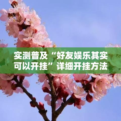 实测普及“好友娱乐其实可以开挂”详细开挂方法