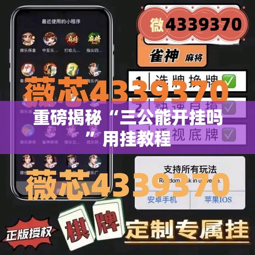 重磅揭秘“三公能开挂吗”用挂教程