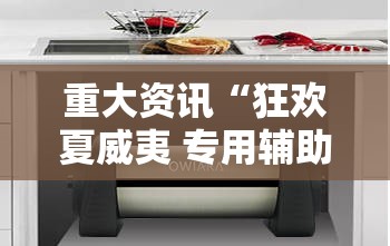 重大资讯“狂欢夏威夷 专用辅助器”真可以装挂