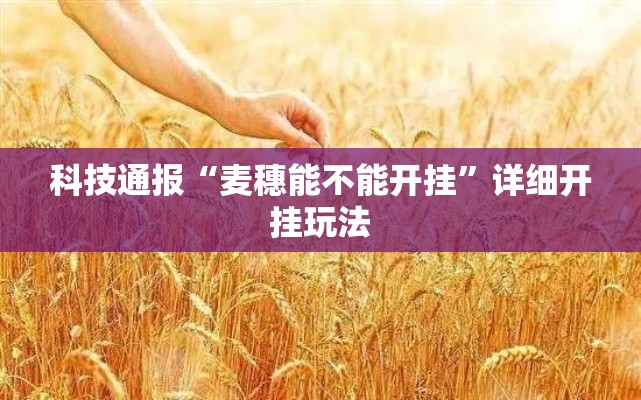 科技通报“麦穗能不能开挂”详细开挂玩法