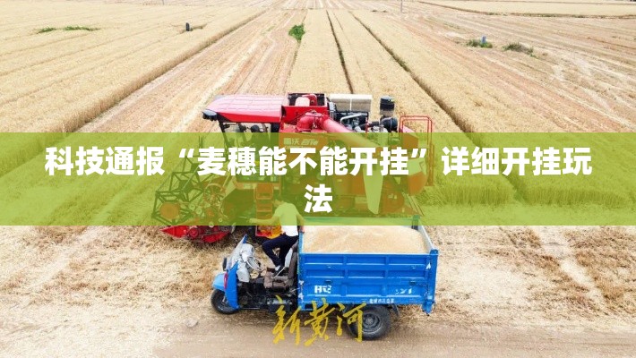 科技通报“麦穗能不能开挂”详细开挂玩法
