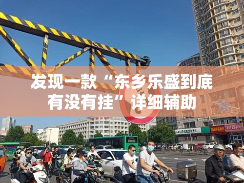 发现一款“东乡乐盛到底有没有挂”详细辅助