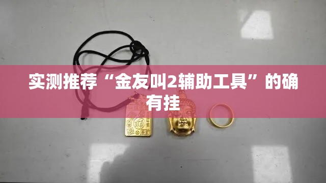 实测推荐“金友叫2辅助工具”的确有挂