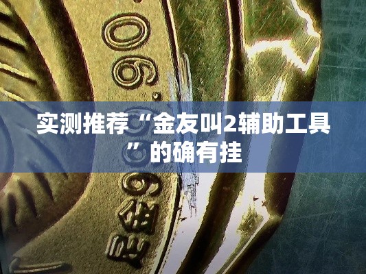 实测推荐“金友叫2辅助工具”的确有挂