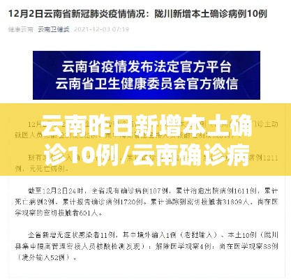 云南昨日新增本土确诊10例/云南确诊病例