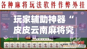 玩家辅助神器“皮皮云南麻将究竟怎么开挂	”开挂必胜方法