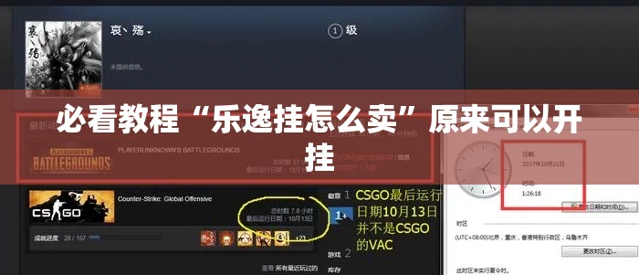 必看教程“乐逸挂怎么卖	”原来可以开挂