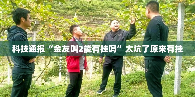 科技通报“金友叫2能有挂吗	”太坑了原来有挂