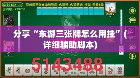 分享“东游三张牌怎么用挂”(详细辅助脚本)