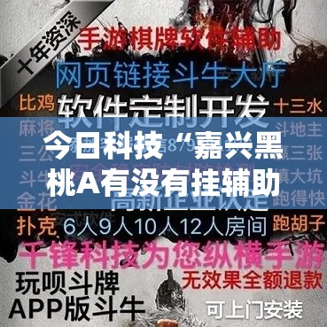 今日科技“嘉兴黑桃A有没有挂辅助	”解密透视猫腻