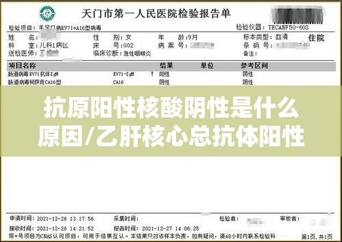 抗原阳性核酸阴性是什么原因/乙肝核心总抗体阳性是什么意思 抗原阳性核酸阴性是什么原因/乙肝核心总抗体阳性是什么意思