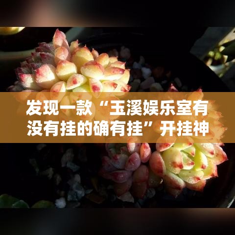 发现一款“玉溪娱乐室有没有挂的确有挂”开挂神器