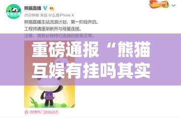 重磅通报“熊猫互娱有挂吗其实是有挂”详细辅助