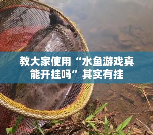 教大家使用“水鱼游戏真能开挂吗”其实有挂
