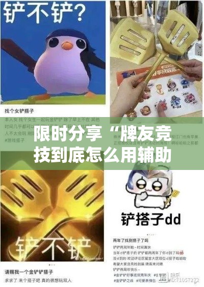 限时分享“牌友竞技到底怎么用辅助”开挂神器