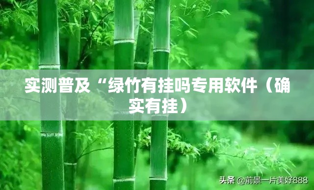 实测普及“绿竹有挂吗专用软件(确实有挂) 实测普及“绿竹有挂吗专用软件(确实有挂)