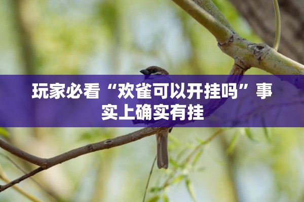 玩家必看“欢雀可以开挂吗”事实上确实有挂