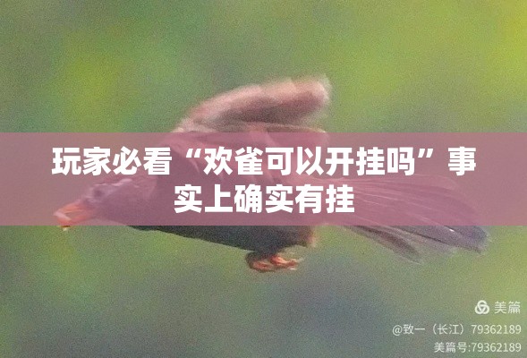玩家必看“欢雀可以开挂吗”事实上确实有挂