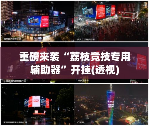 重磅来袭“荔枝竞技专用辅助器”开挂(透视)