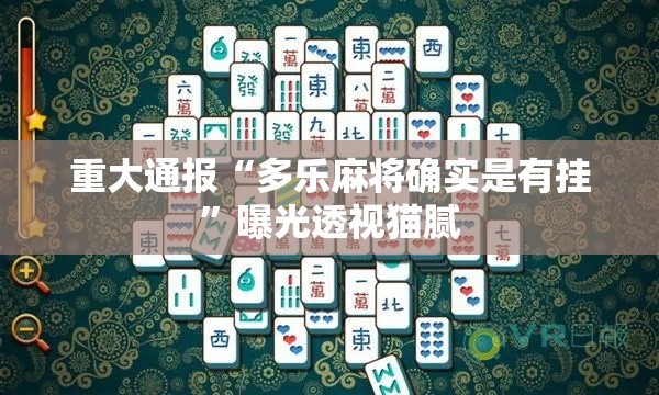 重大通报“多乐麻将确实是有挂”曝光透视猫腻