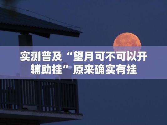 实测普及“望月可不可以开辅助挂	”原来确实有挂