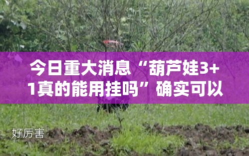 今日重大消息“葫芦娃3+1真的能用挂吗	”确实可以开挂