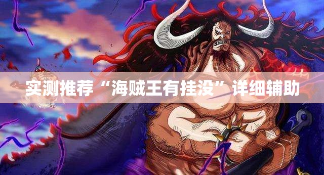 实测推荐“海贼王有挂没”详细辅助