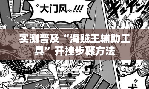 实测普及“海贼王辅助工具”开挂步骤方法