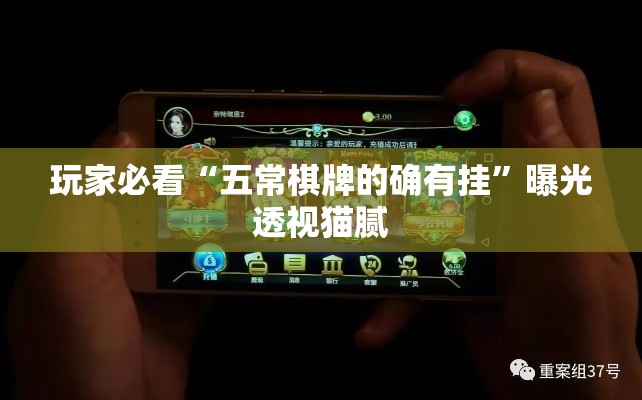 玩家必看“五常棋牌的确有挂”曝光透视猫腻