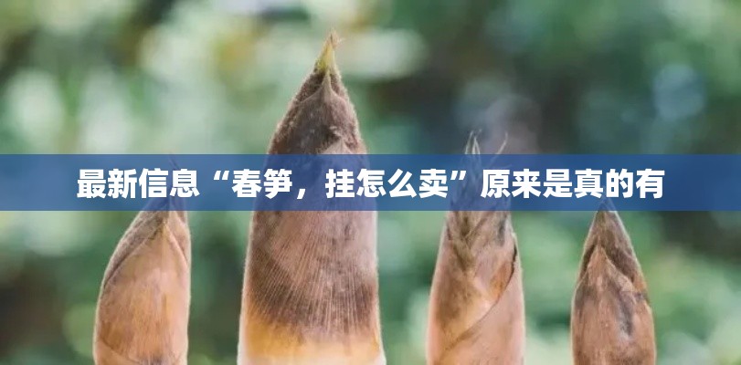 最新信息“春笋，挂怎么卖”原来是真的有