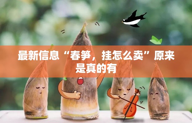 最新信息“春笋，挂怎么卖”原来是真的有