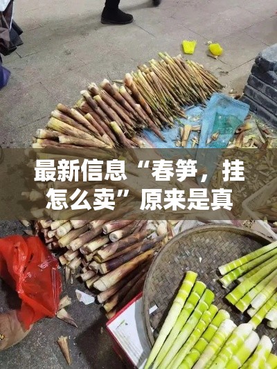 最新信息“春笋，挂怎么卖”原来是真的有