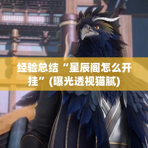 经验总结“星辰阁怎么开挂”(曝光透视猫腻)