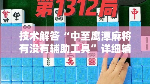 技术解答“中至鹰潭麻将有没有辅助工具”详细辅助