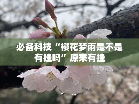 必备科技“樱花梦雨是不是有挂吗”原来有挂