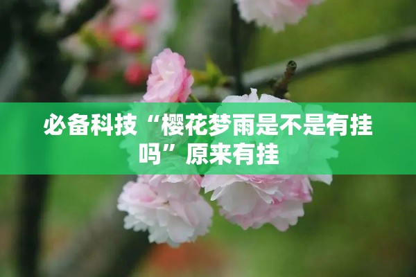 必备科技“樱花梦雨是不是有挂吗”原来有挂