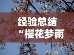 经验总结“樱花梦雨透视专用神器”确实真的有挂
