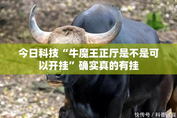 今日科技“牛魔王正厅是不是可以开挂”确实真的有挂