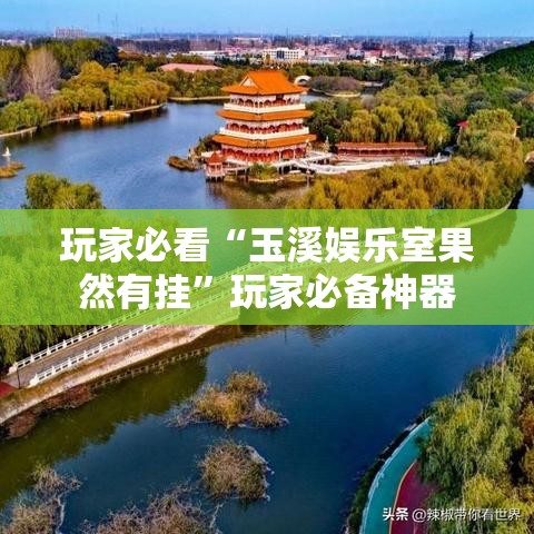 玩家必看“玉溪娱乐室果然有挂	”玩家必备神器