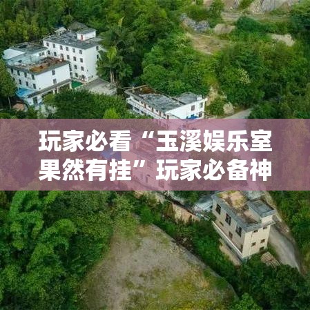 玩家必看“玉溪娱乐室果然有挂”玩家必备神器