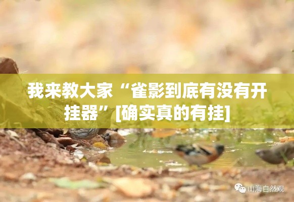 我来教大家“雀影到底有没有开挂器”[确实真的有挂]