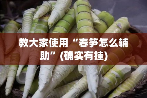 教大家使用“春笋怎么辅助”(确实有挂)