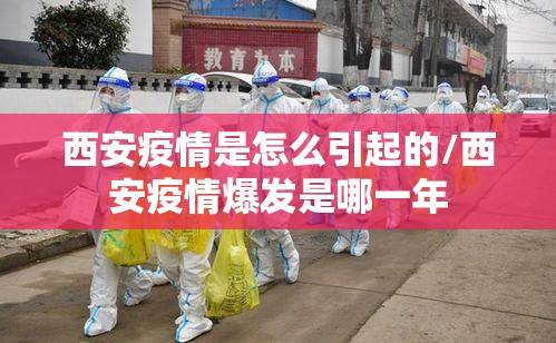 西安疫情是怎么引起的/西安疫情爆发是哪一年