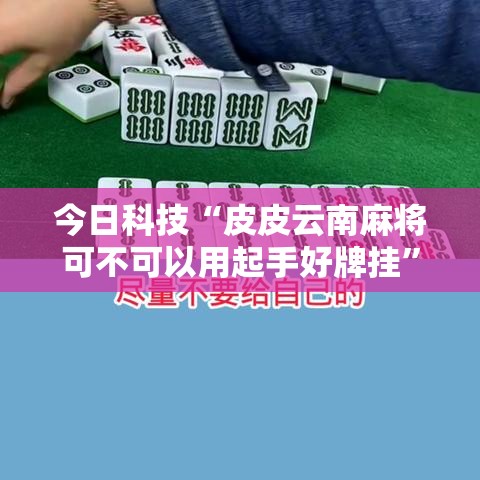 今日科技“皮皮云南麻将可不可以用起手好牌挂”事实上确实有挂