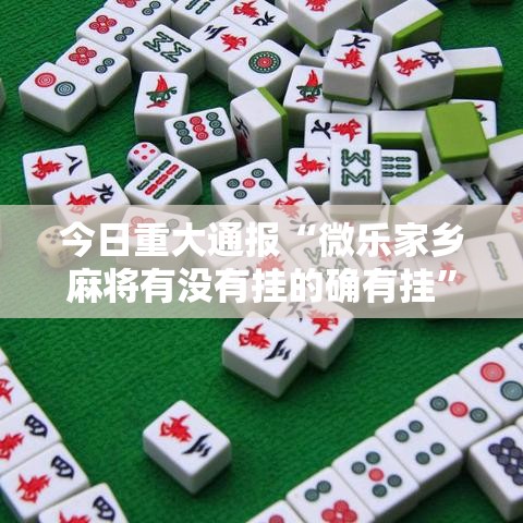 今日重大通报“微乐家乡麻将有没有挂的确有挂”太坑了原来有挂
