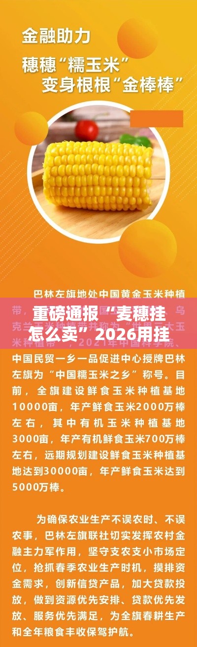 重磅通报“麦穗挂怎么卖”2026用挂