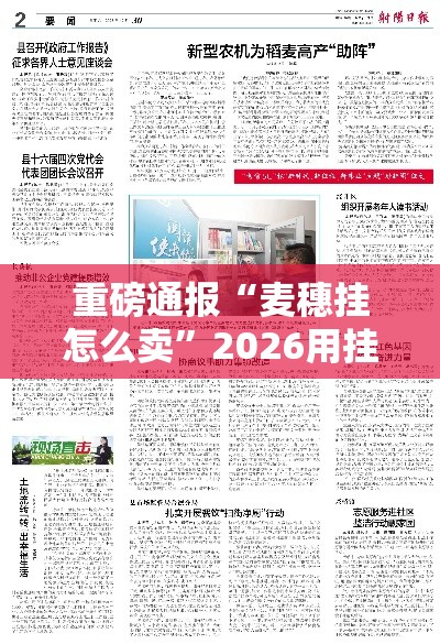 重磅通报“麦穗挂怎么卖”2026用挂